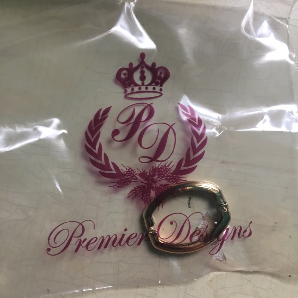 Premier designs clip it